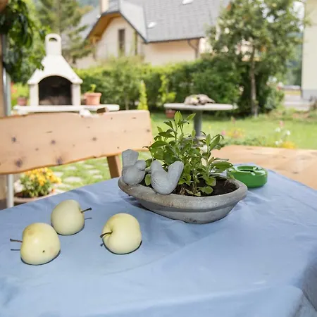 Daire Apartma Tajc Bohinj